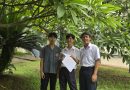 ผลงานนักศึกษาสำรวจและศึกษาพรรณไม้บูรณาการงานสวนพฤกษศาสตร์โรงเรียน ลงในรายวิชาวิทยาศาสตร์ชค.13